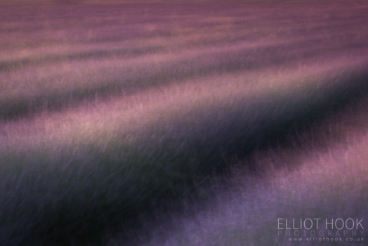 Hitchin Lavender Abstract